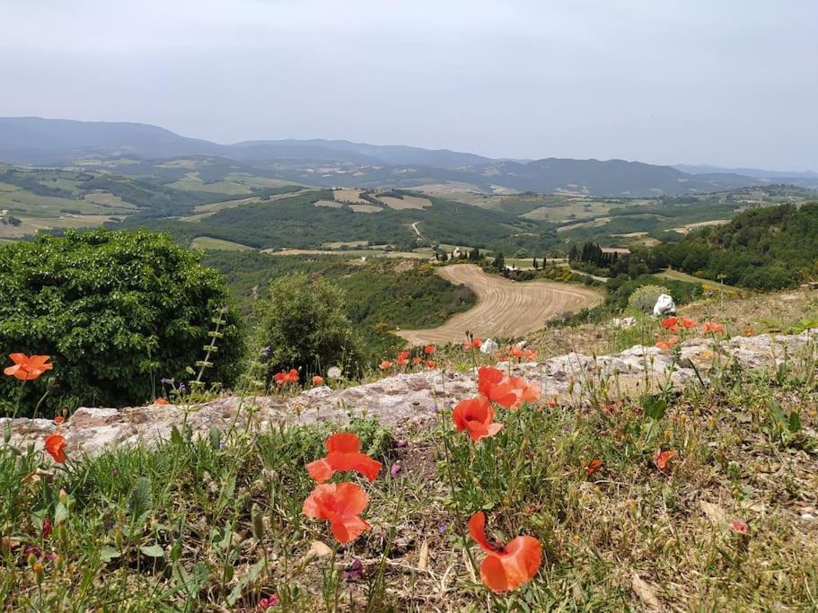 Casa Contadina In Borgo Medievale, Tuscany Monteguidi Eksteriør billede