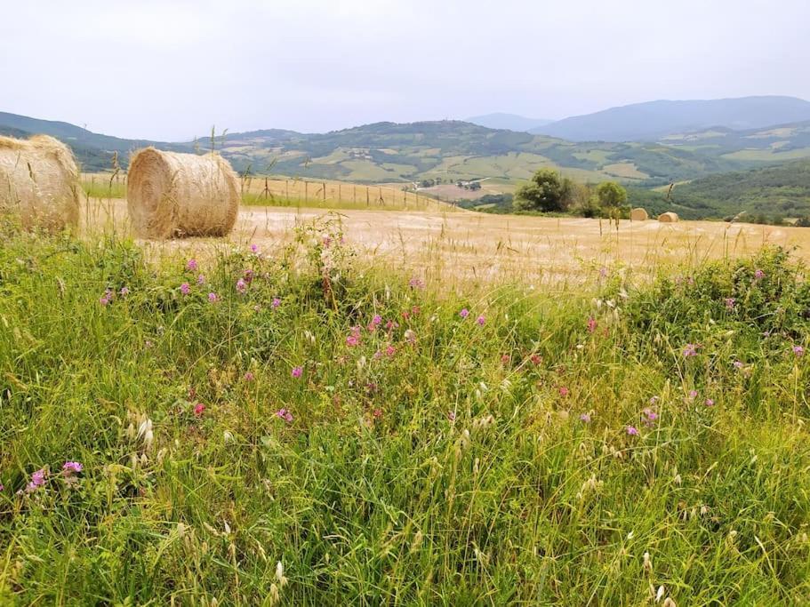 Casa Contadina In Borgo Medievale, Tuscany Monteguidi Eksteriør billede